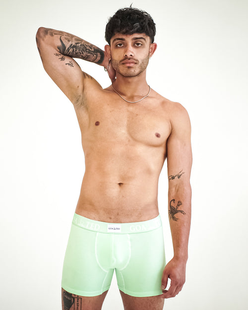 Classic Tag Mint Green GOATED Boxer Briefs